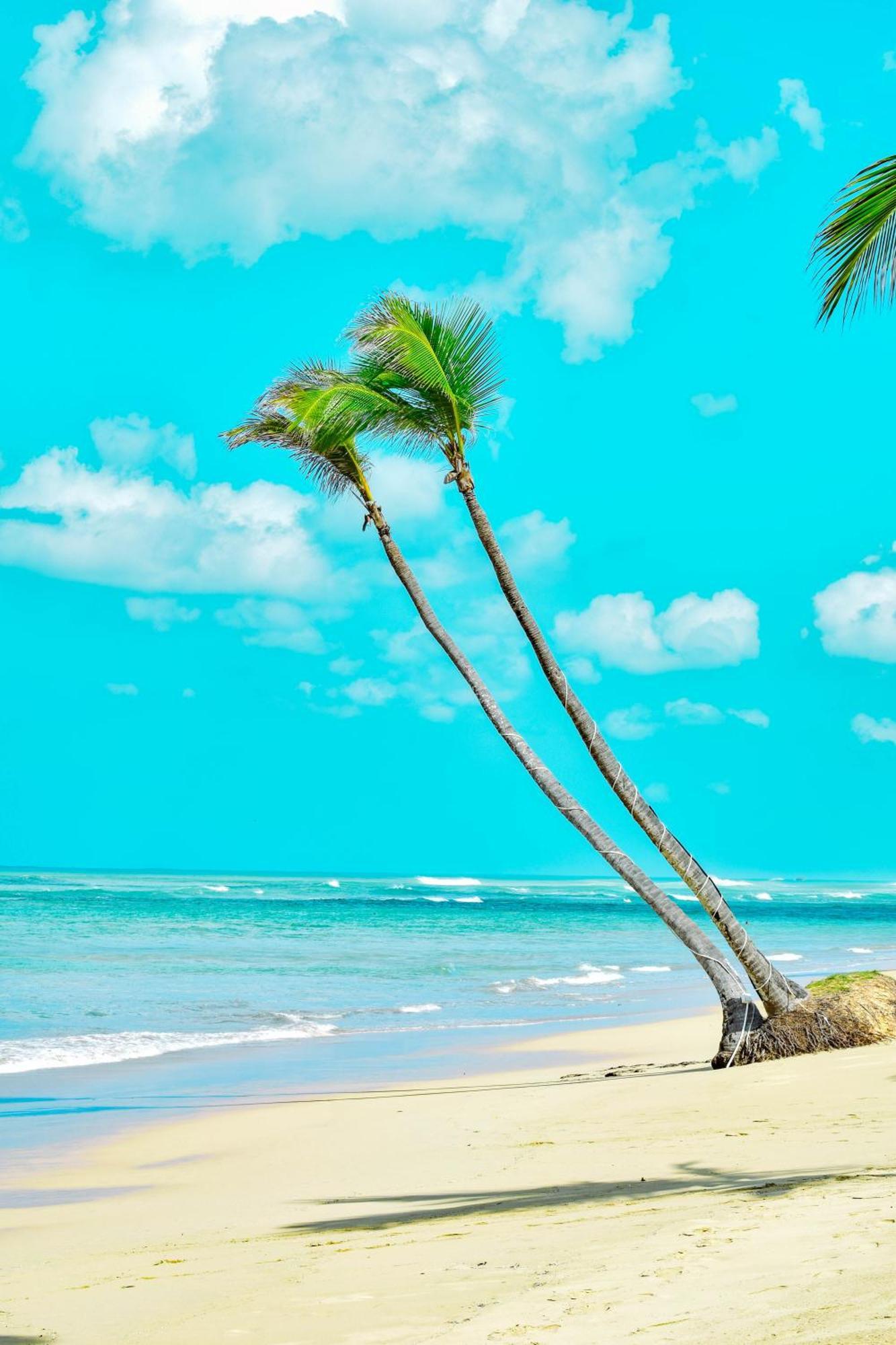 Playa Palmera Beach Resort Punta Cana Exterior photo